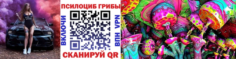 Псилоцибиновые грибы GOLDEN TEACHER  купить наркотики цена  Киров 