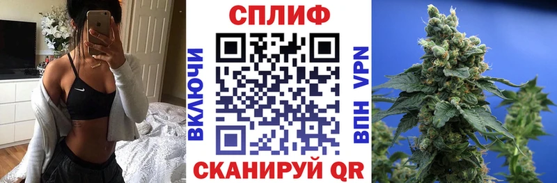 где найти   Киров  Каннабис Bruce Banner 